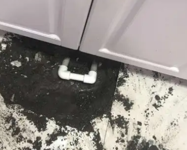 洪湖查漏水哪家好